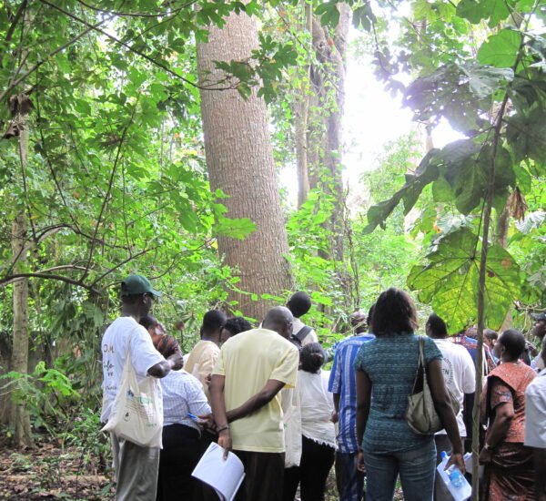 OGM en Afrique : Pourquoi JINUKUN Dit Non aux Organismes Génétiquement Modifiés