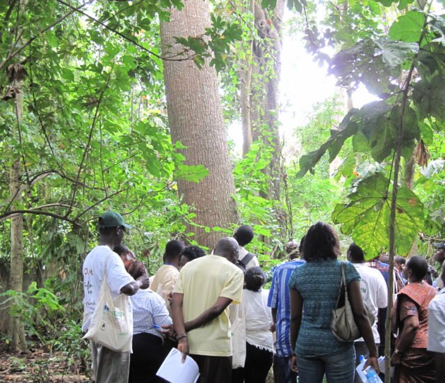 OGM en Afrique : Pourquoi JINUKUN Dit Non aux Organismes Génétiquement Modifiés